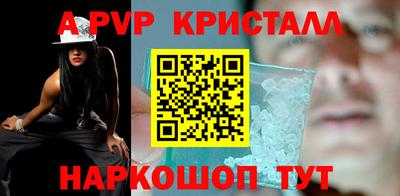 стаф Шелехов